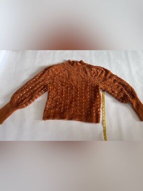 Ann Taylor Plush Knit Sweater in Rust